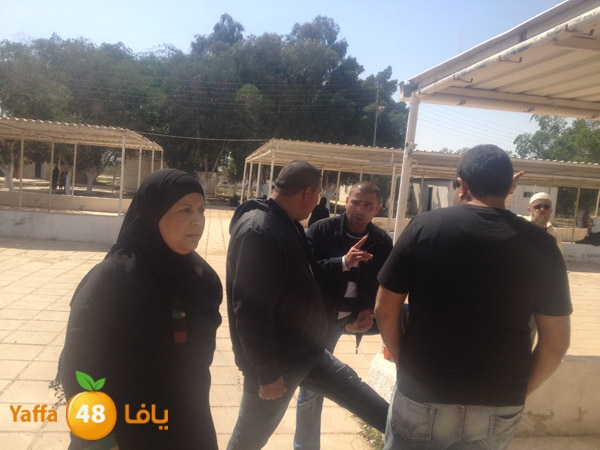 3omraludmakka325 (4).JPG